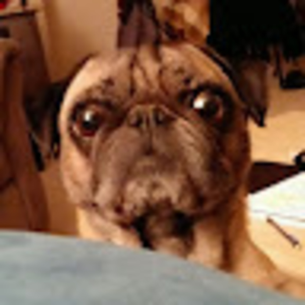 Meet your Posher, Nicole